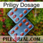 Priligy Dosage 05